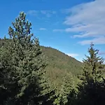 Ferienwohnung Waldblick Winterberg