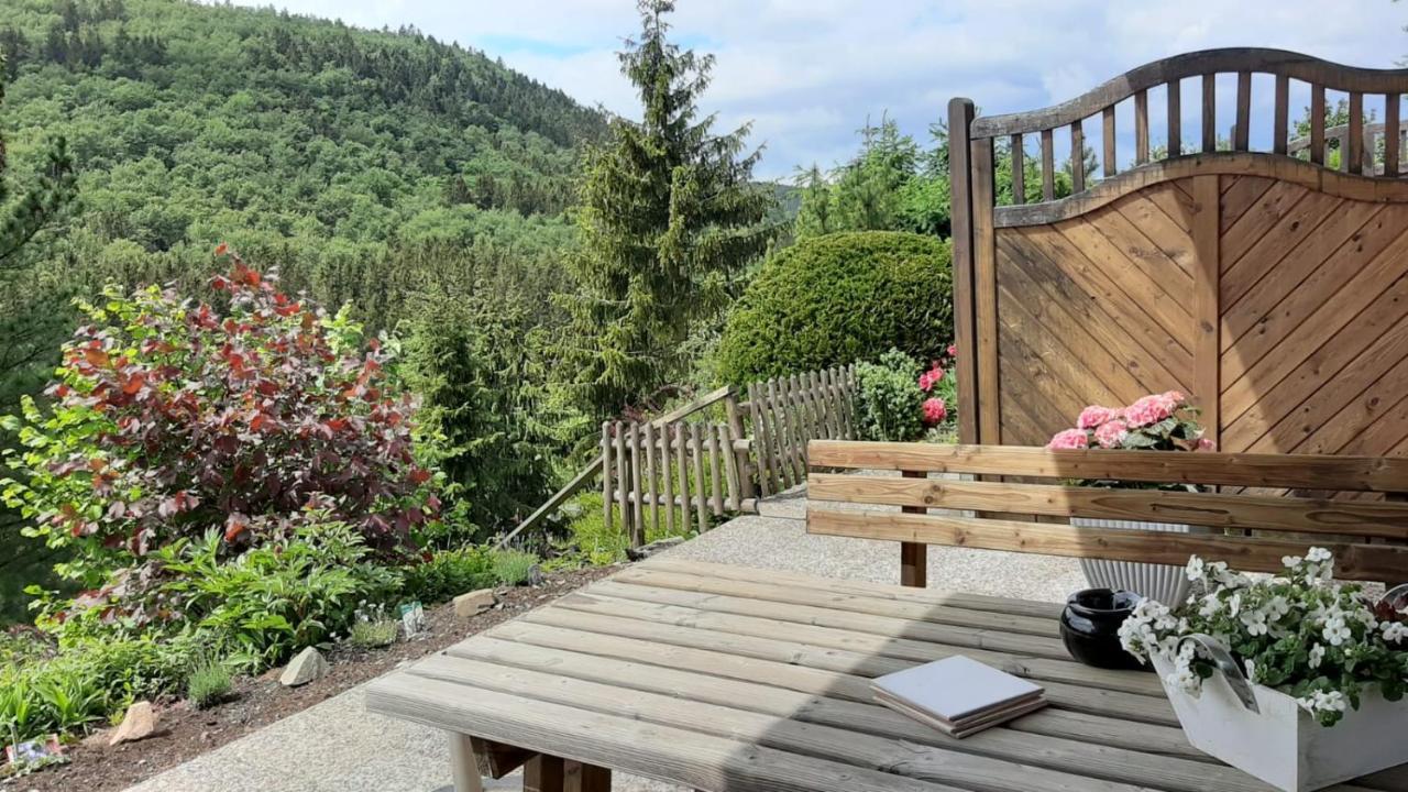 Waldblick * Winterberg
