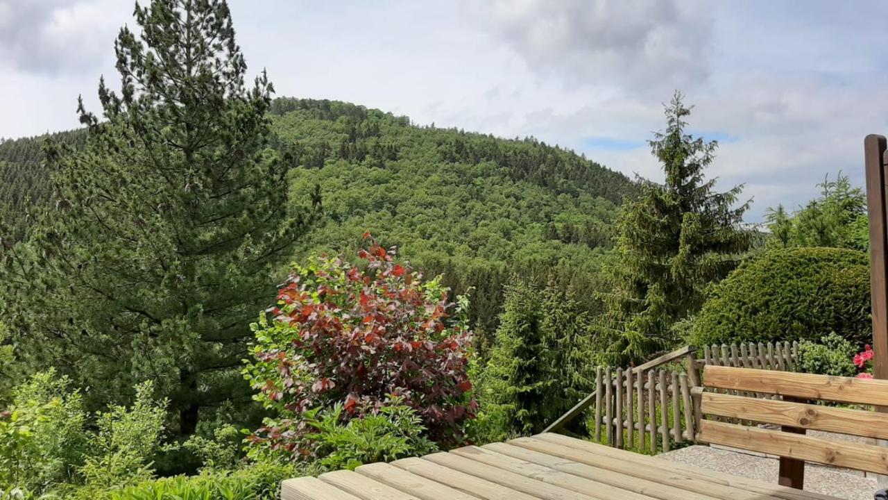 Waldblick Winterberg