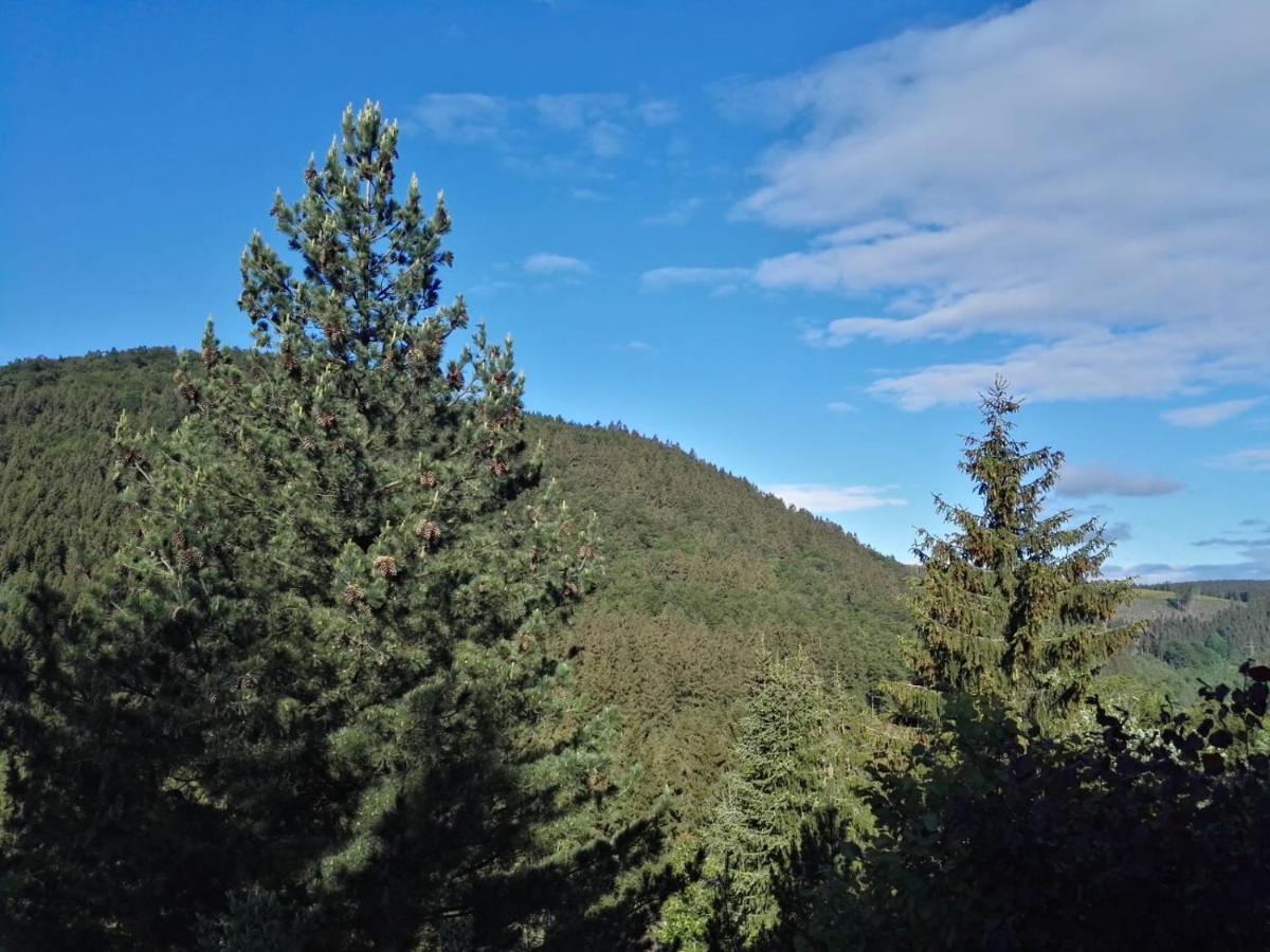 Waldblick Apartment Winterberg