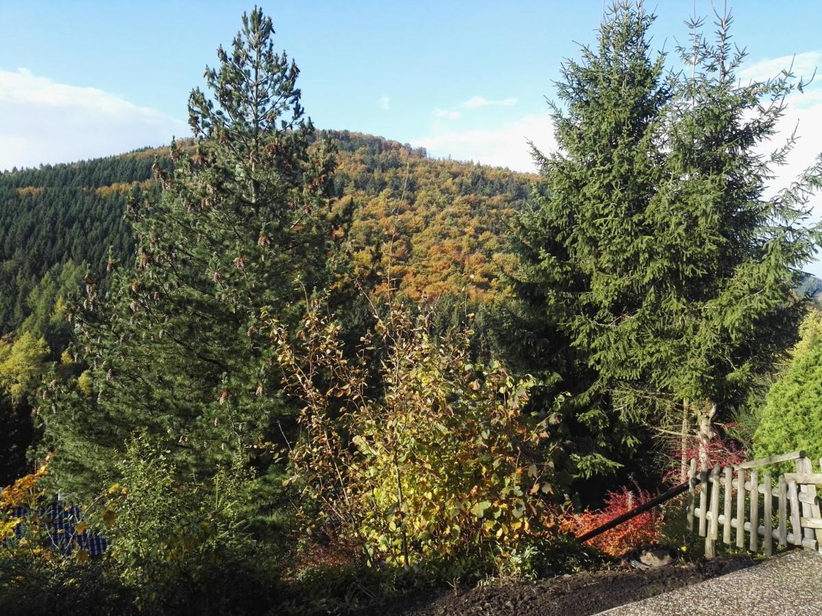 Waldblick * Winterberg