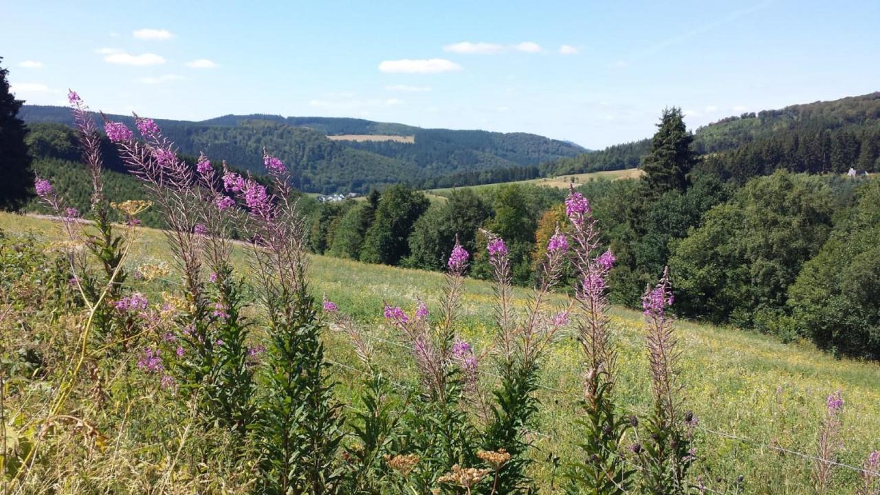 Apartment Waldblick Winterberg
